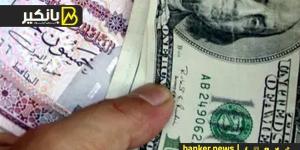 سعر الدولار أمام الجنيه المصري في نهاية تعاملات اليوم الأحد 3-11-2024