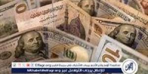 سعر الدولار مقابل الجنيه المصري اليوم الاثنين 4 نوفمبر 2024: ارتفاع طفيف في البنوك