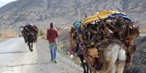 زيادات في أسعار حطب التدفئة تبرز ضرورة توفير بدائل للساكنة الجبلية