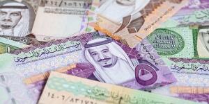 سعر الريال السعودي اليوم الاثنين 4-11-2024 في البنك المركزي المصري