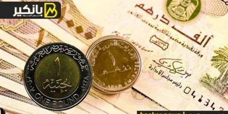 سعر الدرهم الإماراتي أمام الجنيه المصري في تعاملات اليوم الثلاثاء 5-11-2024