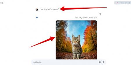 Gemini باللغة العربية.. اكتشف أحدث المزايا التي أطلقتها جوجل