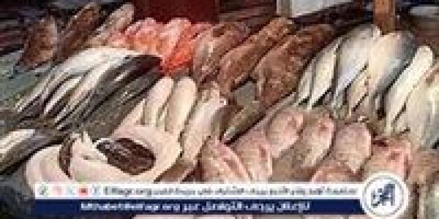 أسعار المأكولات البحرية والجمبري اليوم الثلاثاء 5-11 -2024 في محافظة الدقهلية