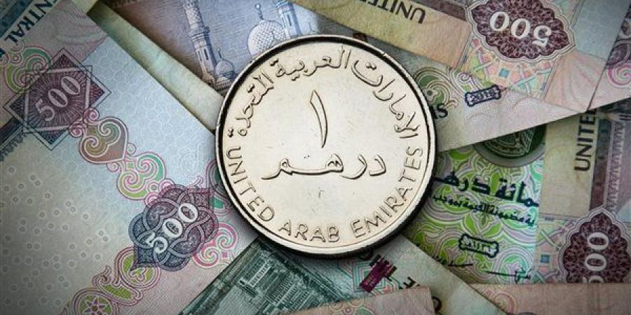 سعر الدرهم الإماراتي اليوم الثلاثاء 5-11-2024 في البنك المركزي المصري