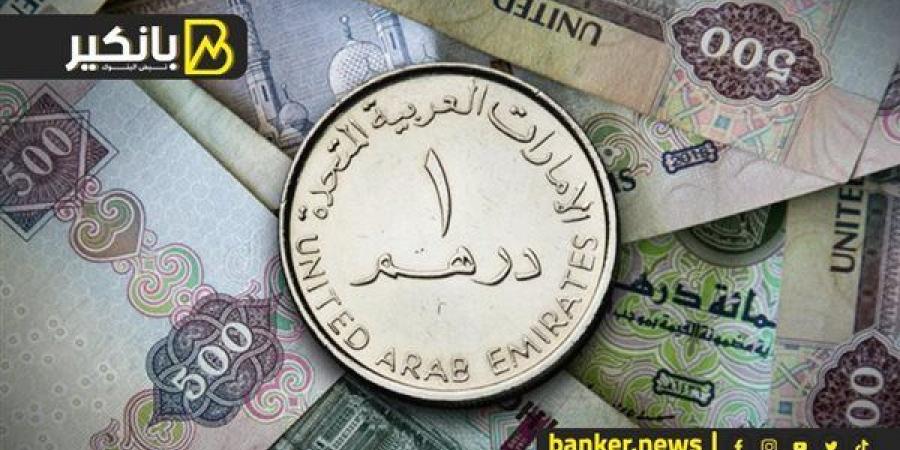 سعر الدرهم الإماراتي أمام الجنيه المصري في تعاملات اليوم الأربعاء 6-11-2024