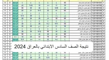 رابط نتائج السادس الابتدائى 2024 الكرخ الأولي من الموقع الرسمي وزارة التربية العراقية
