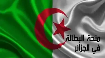 “منحة 15 ألف دينار فورية” رابط التسجيل في منحة البطالة بالجزائر 2024