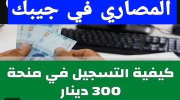 كيفية التسجيل في منحة 300 دينار تونس 2024 والمستندات المطلوبة.. ما هي شروط التقديم؟