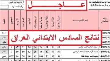 رابط الاستعلام عن نتائج السادس الابتدائي الدور الاول 2024 عبر موقع وزارة التربية لجميع محافظات العراق