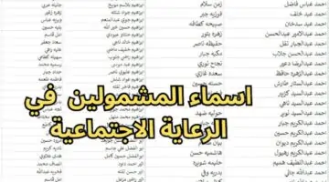 رابط أسماء المشمولين بالرعاية الاجتماعية 2024 لعموم المحافظات العراقية الوجبة السابعة عبر منصة مظلتي