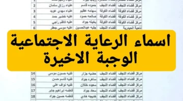 عبر مظلتي.. رابط الاستعلام عن أسماء المشمولين بالرعاية الاجتماعية الوجبة السابعة جميع المحافظات بالعراق الأن