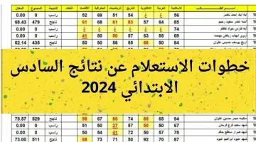 نتائج السادس ابتدائي 2024 الدور الاول الرصافة الاولى عبر موقع وزارة التربية العراقية