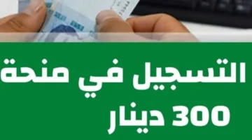 المساري مش هتخلص من عندك.. رابط التسجيل في 300 دينار منحة تونس 2024 والشروط المطلوبة