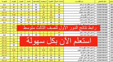 مليون مبارك للجميع.. رابط نتائج الدور الأول للصف الثالث متوسط 2024 العراق