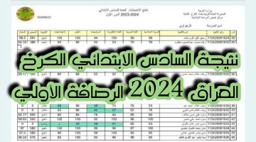 رابط نتيجة السادس الابتدائي الكرخ العراق 2024 pdf.. استعلم الان