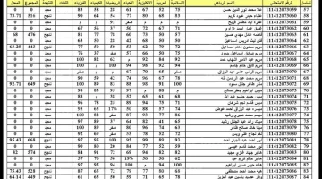 “وزارة التربية” رابط استخراج نتائج الثالث متوسط الدور الأول 2024 عموم محافظات العراق