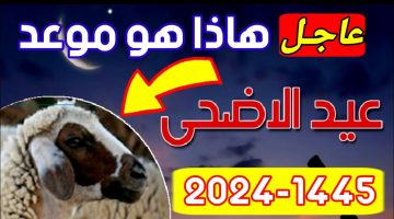 بشري سارة لجميع القطاعات .. وزارة الموارد البشرية توضح موعد عيد الأضحى 2024 حتى الآن