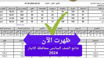 بشائر طيبة من الأنبار.. تعليم العراق يوضح نسبة نجاح الطلاب في محافظة الانبار 2024