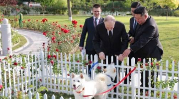 تفاصيل إهداء كيم جونغ زعيم كوريا الشمالية زوجا من كلاب بونغسان إلي بوتين رئيس روسيا
