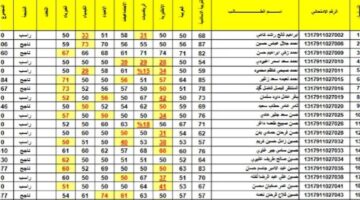 رسميًا .. التربية العراقية تعلن موعد وطريقة الاستعلام علي نتيجة الصف الثالث المتوسط 2024 برابط رسمي