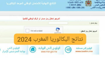 “خطوة بخطوة” الديوان الوطني يعلن عن رابط الاستعلام عن نتائج البيام في الجزائر من هُنا 2024 في هذا الموعد