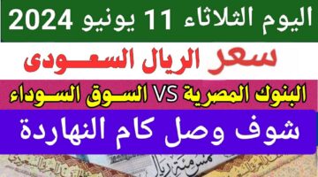 كم يساوي.. سعر الريال السعودي مقابل الجنيه المصري في البنوك والسوق السوداء اليوم الثلاثاء 11 يونيو