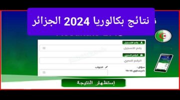 طال انتظارها.. رابط الاستعلام عن نتائج البكالوريا 2024 الجزائر
