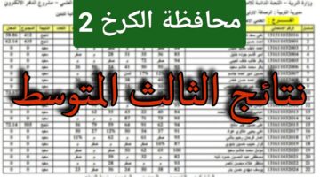 ارتفاع ملحوظ في نسب النجاح.. استخراج نتائج الثالث متوسط 2024 الدور الاول محافظة الكرخ 2 موقع نتائجنا