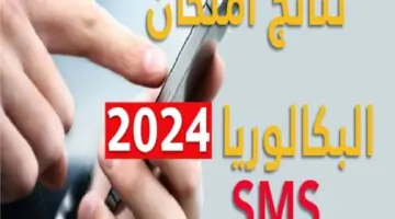 هنا ظهرت حالا”.. نتايج البكالوريا تونس 2024 عبر موقع وزارة التربية والتعليم education.gov.tn