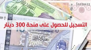 “سجل بسرعة“ رابط التسجيل في منحة 300 دينار تونس عبر وزارة الشؤون الاجتماعية والشروط