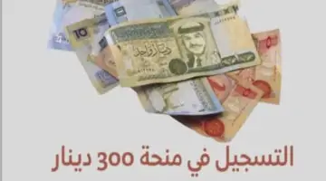 أنباء حول حقيقة زيادة منحة 300 دينار تونس قبل العيد “الشؤون الاجتماعية” تكشف التفاصيل 2024