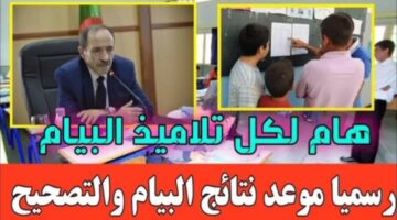 وزارة التربية الوطنية توضح موعد ظهور نتائج البيام الجزائر 2024 – شهادة التعليم المتوسط