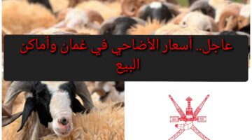 بالتزامن مع حلول عيد الأضحى.. أسعار الأضاحي في عمان 2024 ودليل شامل عن أماكن البيع