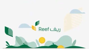 التسجيل في دعم ريف للمطلقات وخطوات الاستعلام عن دعم الريف عبر المنصة الإلكترونية REEF