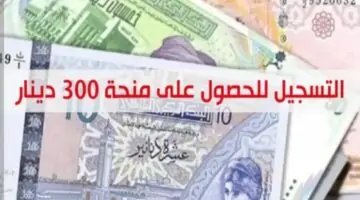 “سجل الآن” خطوات الحصول على منحة 300 دينار تونسي 2024