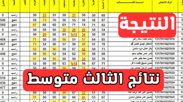 استخراج نتائج الثالث متوسط بالعراق بدون رقم امتحاني “عبر وزارة التربية العراقية” 2024
