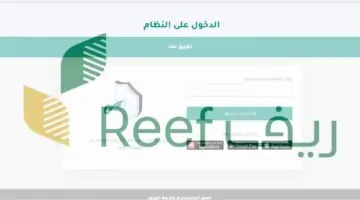 لينك رسمي تسجيل دخول دعم ريف النفاذ الوطني برقم الهوية reef.gov.sa لجميع القطاعات بالسعودية