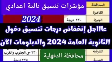 انتهى الانتظار.. مؤشرات تنسيق الثانوية العامة 2024 محافظة الدقهلية
