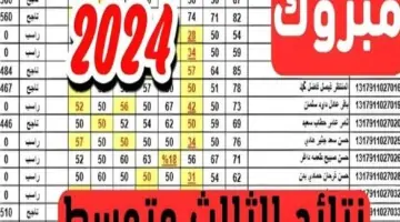تنزيل pdf” نتائج الثالث متوسط 2024 الدور الاول pdf الكرخ 1 epedu.gov.iq عبر وزارة التربية العراقية