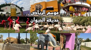 “أحجز الآن واستمتع”.. حجز تذاكر حديقة حيوانات الرياض من شباك التذاكر ticket-window وأوقات الدخول