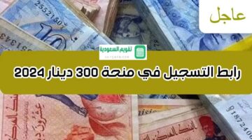 رابط التسجيل في منحة 300 دينار تونس…بالتفاصيل الشروط والمستندات المطلوبة للحصول على المنحة