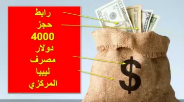 “احجز واستلم فورا” رابط حجز 4000 دولار مصرف ليبيا المركزي عبر fcms.cbl.gov.ly بهذه الشروط