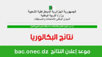 “استعلم الان education.gov.dz”.. رابط نتائج البكالوريا 2024 الجزائر عبر موقع الديوان الوطني للمسابقات والامتحانات