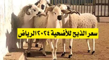 سعر الذبح للأضحية 2024 الرياض.. تعرف على الأسعار وأماكن البيع وخطوات الحجز عبر مِنصة أضاحي