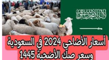 “اعرف واشتري”.. سعر صك الأضحية في السعودية 2024 والشروط المطلوبة في الأضحية