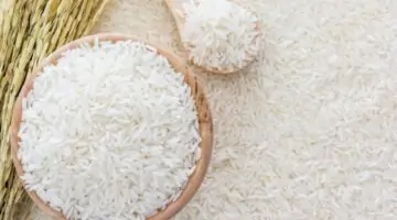 “طن الأرز بكام؟ سعر طن الأرز الشعير اليوم الأحد 30 يونيو 2024 في الأسواق المصرية