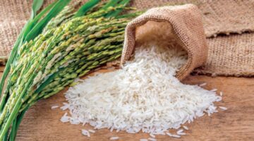 “بكام طن الأرز الشعير اليوم؟” سعر طن الأرز الشعير اليوم الثلاثاء 25-6-2024 في الأسواق والسلع الأساسية