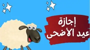 عدد أيام اجازة عيد الاضحى في الجزائر بعد قرار مجلس الوزراء.. خبر مــفرح