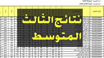 رابط اعتراضات نتائج الثالث متوسط 2024 محافظة بغداد الرصافة 2 من هنا