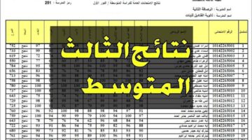 الآن نتائج الثالث متوسط 2024 الدور الأول فور اعلانها خلال موقع وزارة التربية العراقية